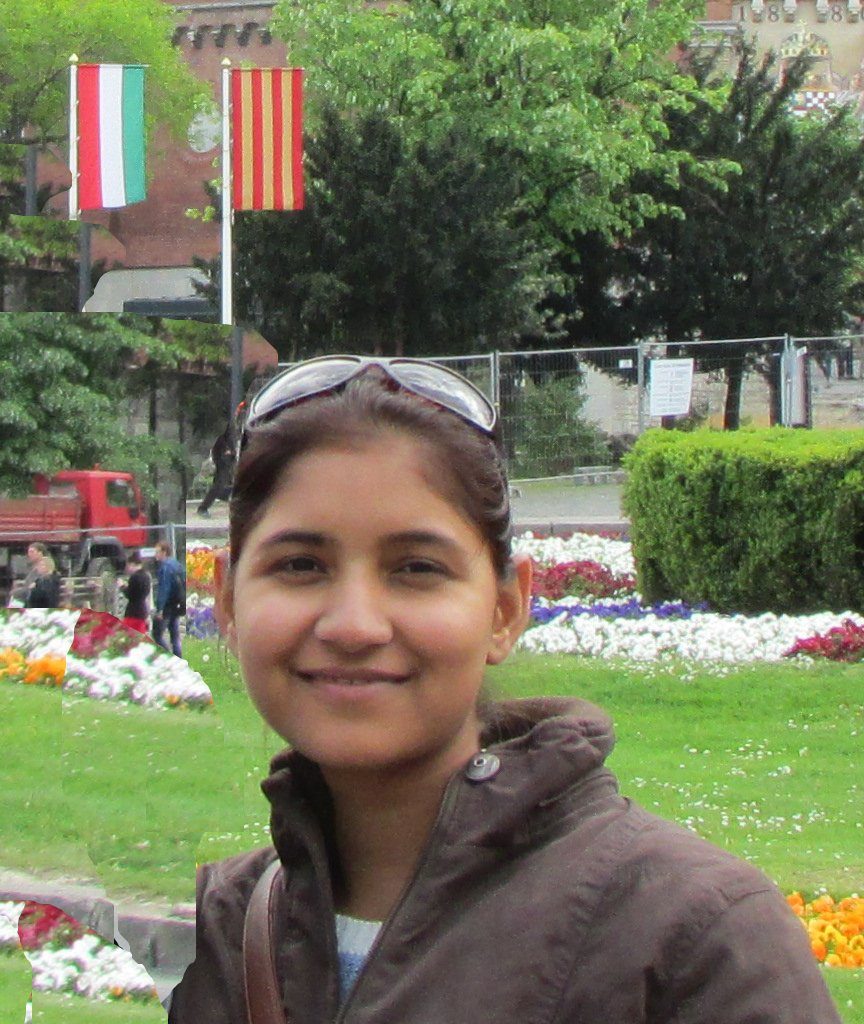Anshu Chaudhary